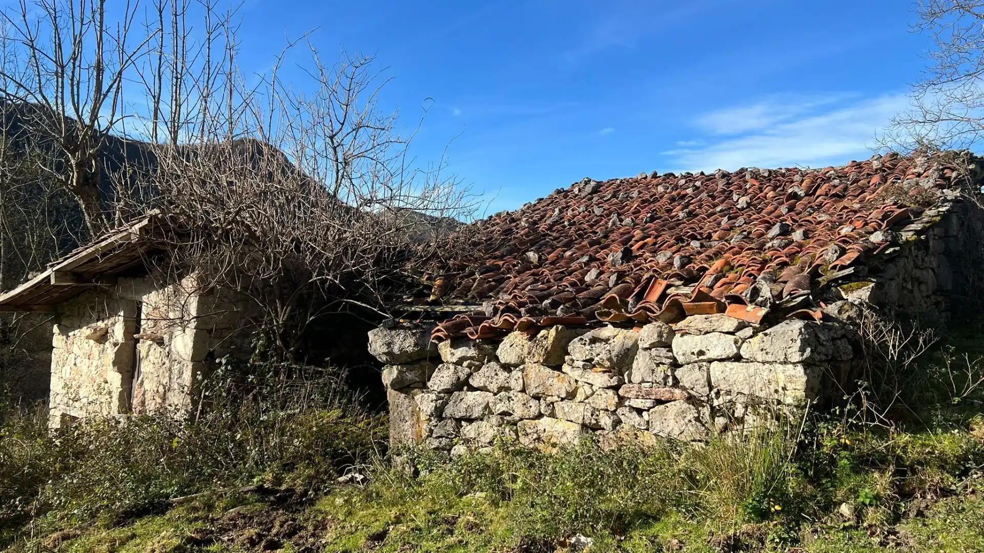 Terreno rustico in vendita a Cangas de Onís, imagen 18