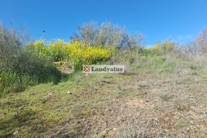 Residential for sale in Aranjuez