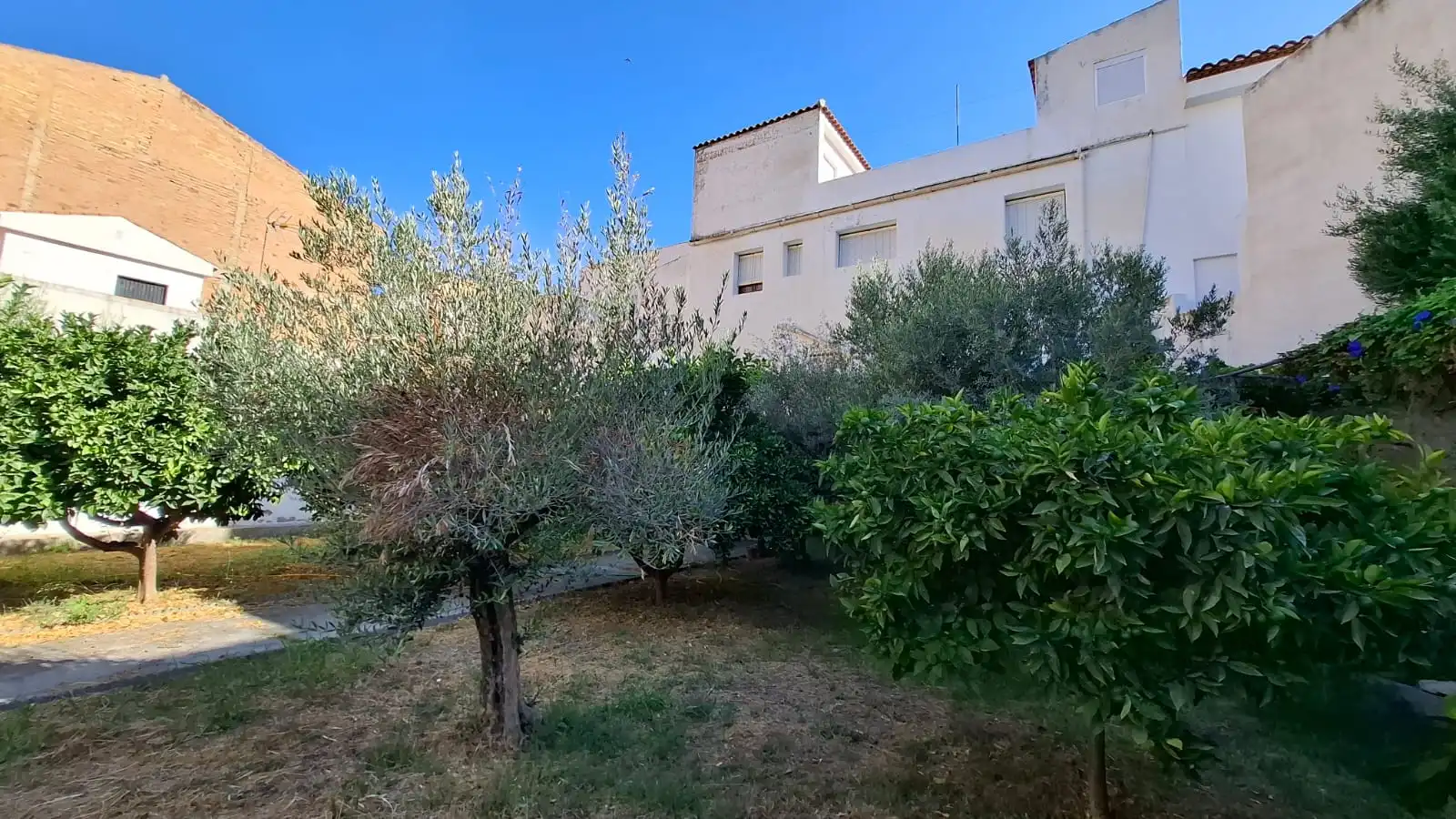 Garten von Einfamilien-Reihenhaus zum Verkauf in Vélez de Benaudalla mit Privatgarten, Terrasse und Möbliert