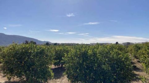 Foto 3 von Grundstücke zum Verkauf in Parcela P.i. Cabecicos Blancos 06-67, Librilla, Murcia