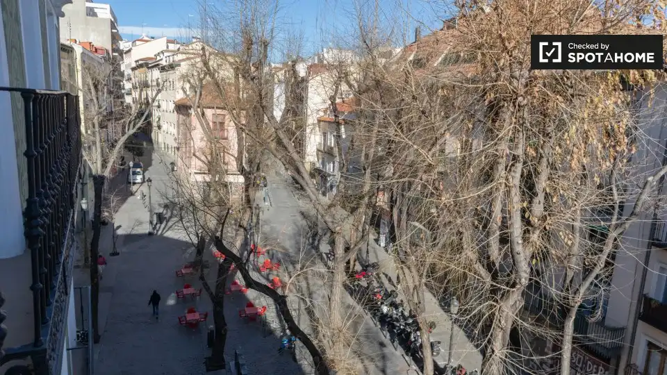 Pis de lloguer a Centro, imagen 8