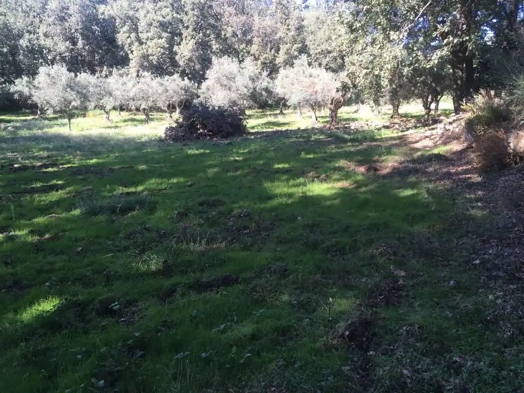 Terreni e lotti in vendita a Jarandilla de la Vera, imagen 10