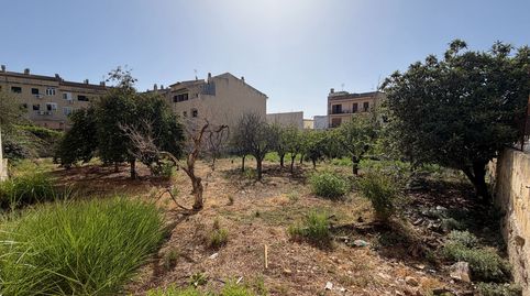 Foto 4 von Residential zum Verkauf in Lloseta, Illes Balears