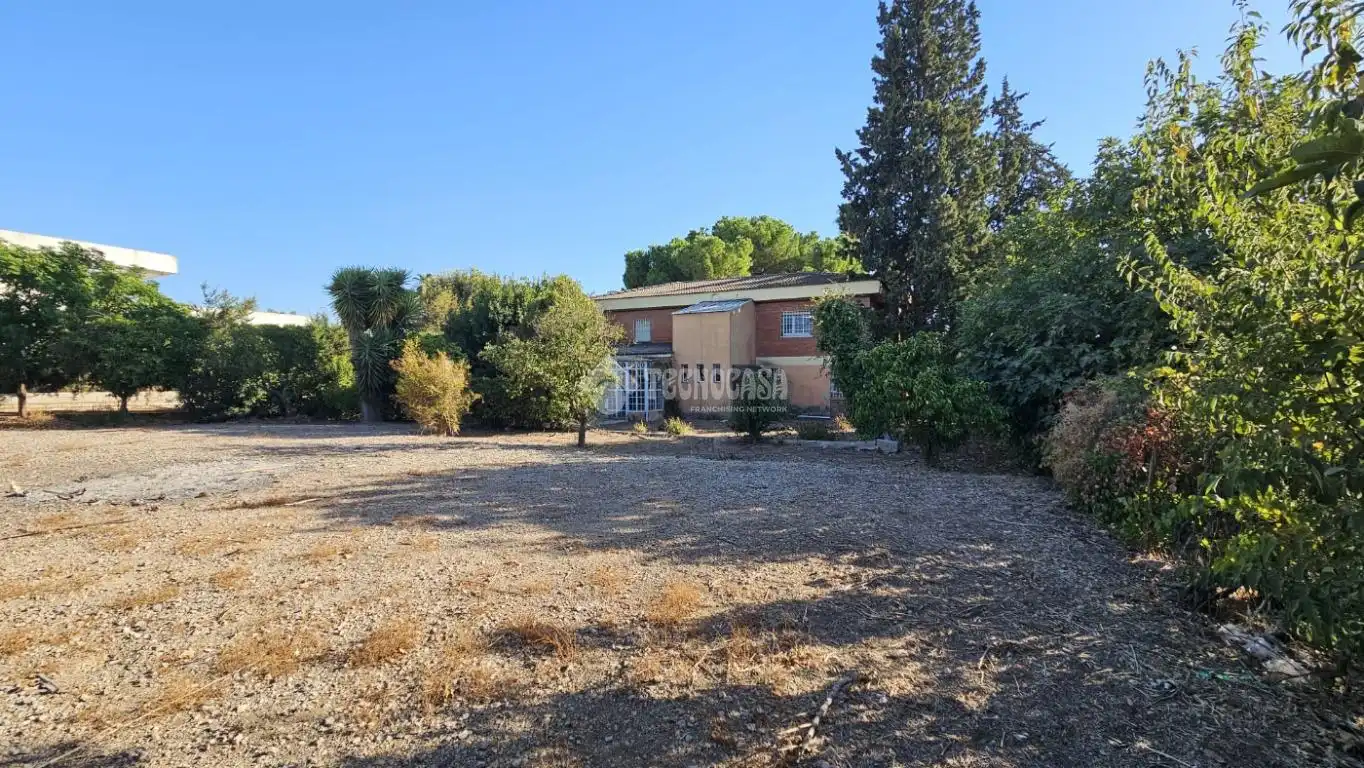 Maison avec terrasse à vendre à Loreto, imagen 22