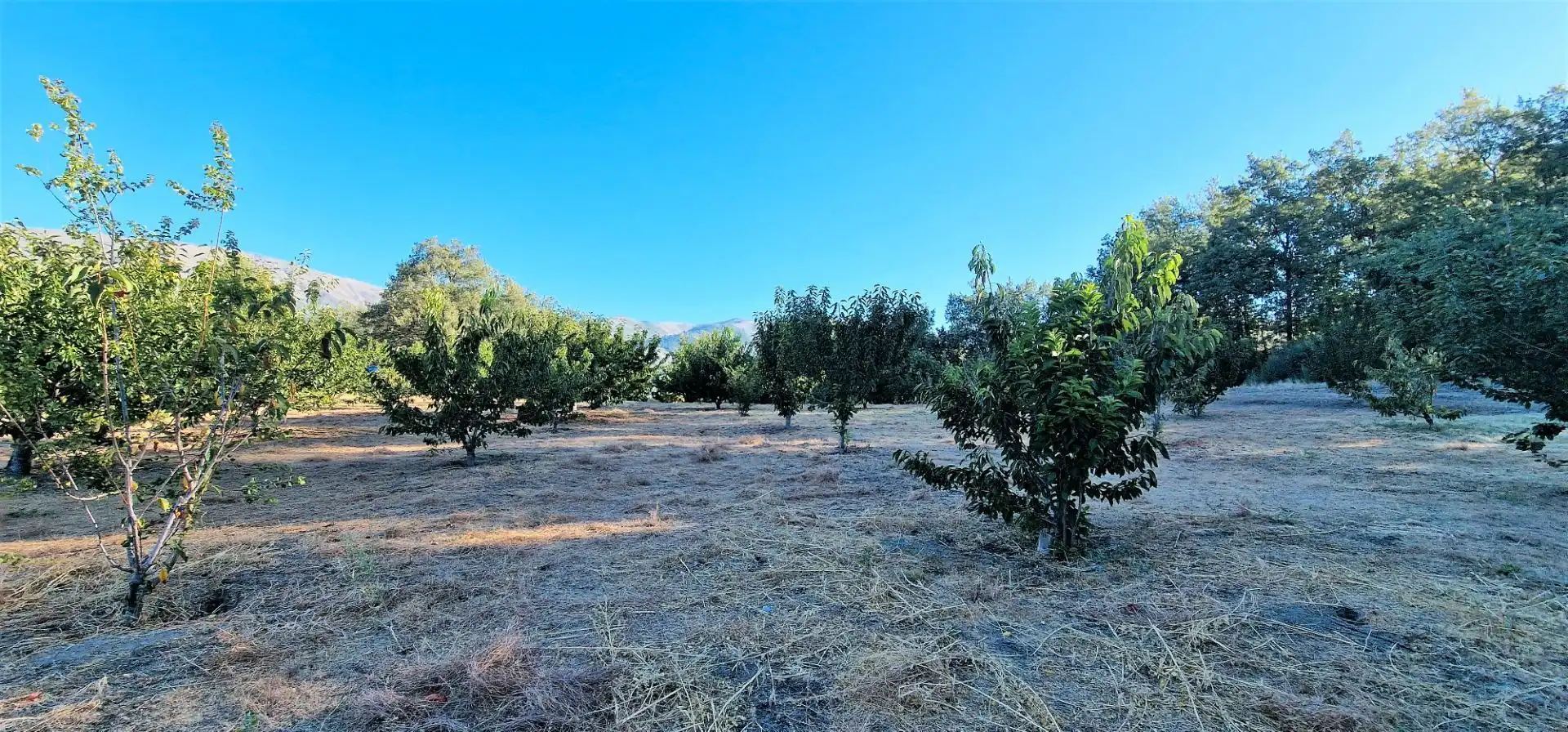 Terreni e lotti in vendita a Aldeanueva de la Vera, imagen 5