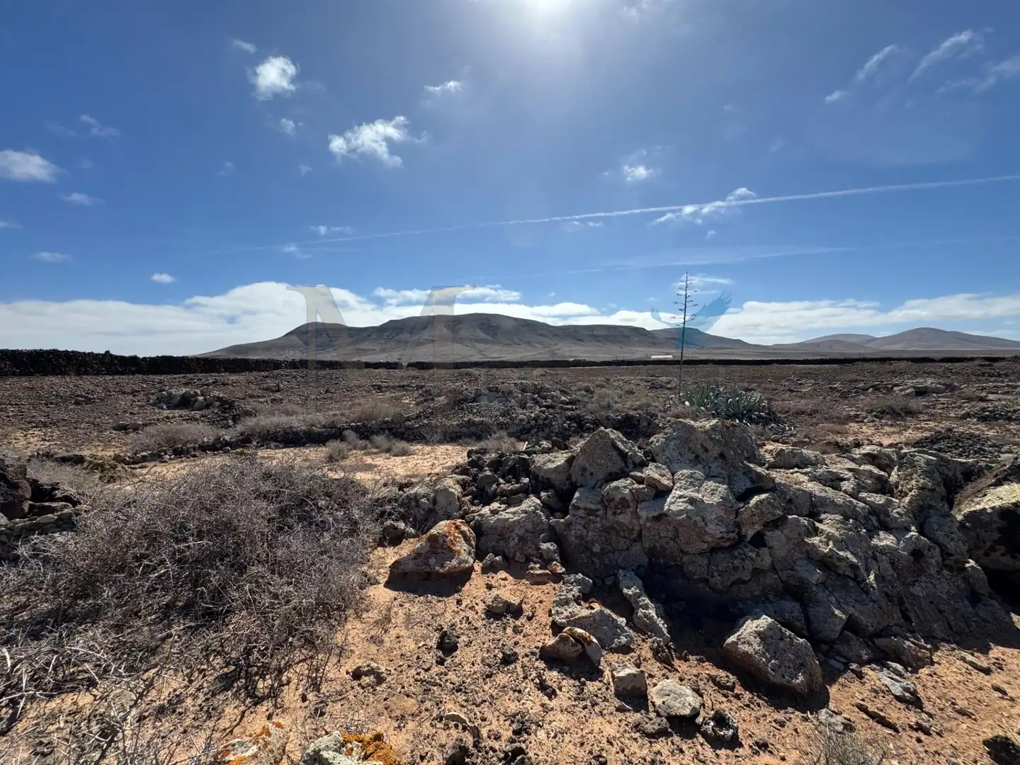 Land for sale in La Oliva