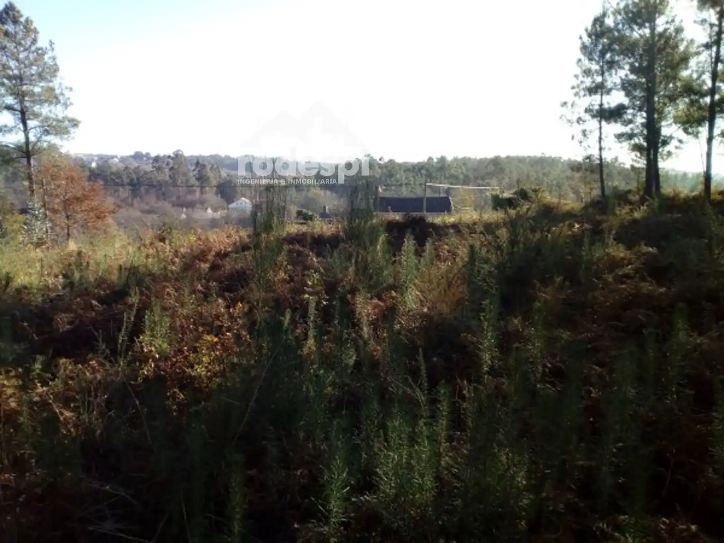 Terreny rústic en venda a A Cañiza, imagen 3