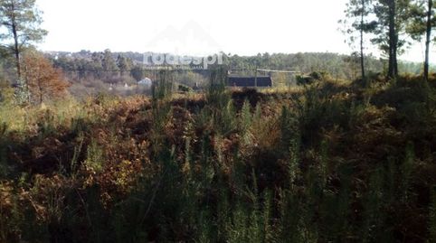 Foto 3 de Terreno en venta en A Cañiza , Pontevedra