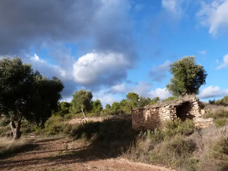 Finca rústica en venta en Valjunquera