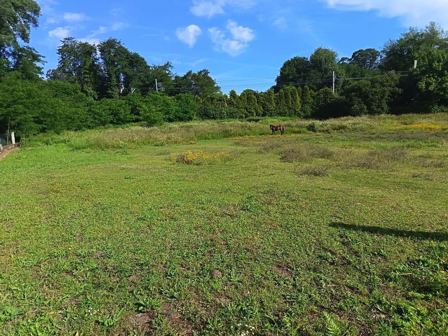 Finca rústica en venda en Salvaterra de Miño