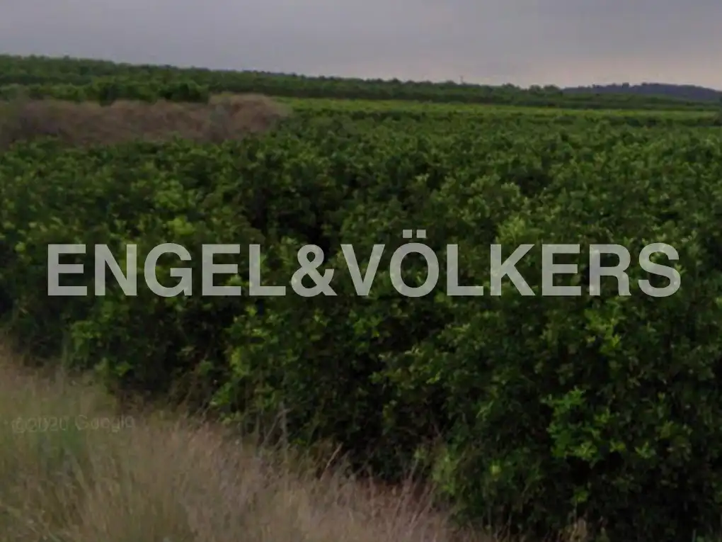 Terrenos y solares en venta en Pedralba, imagen 10