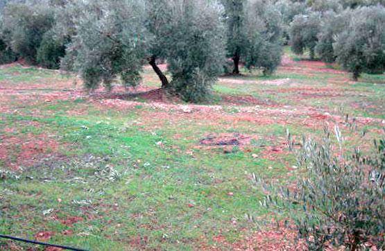 Terreno residencial en Venta en Iznatoraf