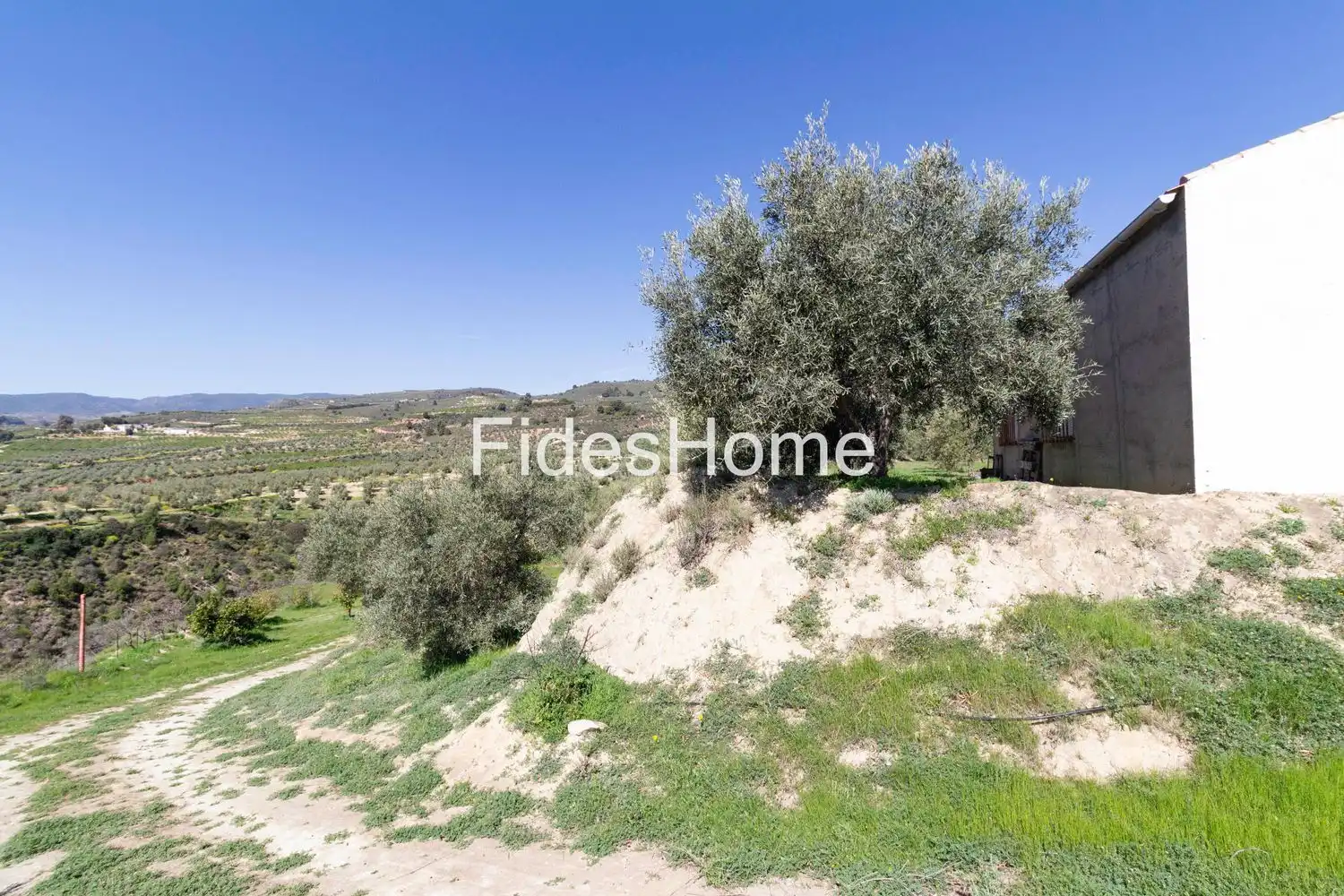 Casa rustica in vendita a WCR3+9FX Saleres, 18658, El Valle, Granada, Españ 0, imagen 11