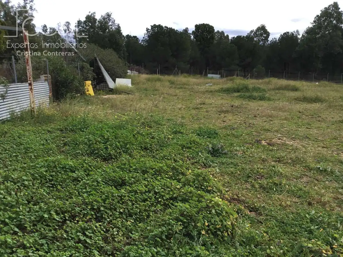 Casa rústica amb piscina en venda a Almonte ciudad, imagen 16