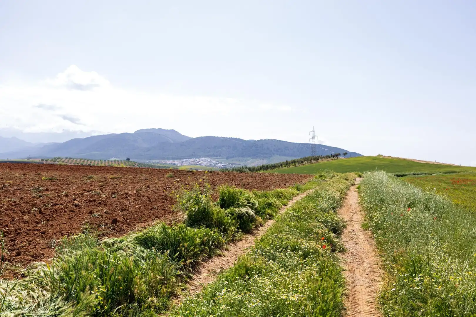 Lands and plots for sale in Otura 6, imagen 19
