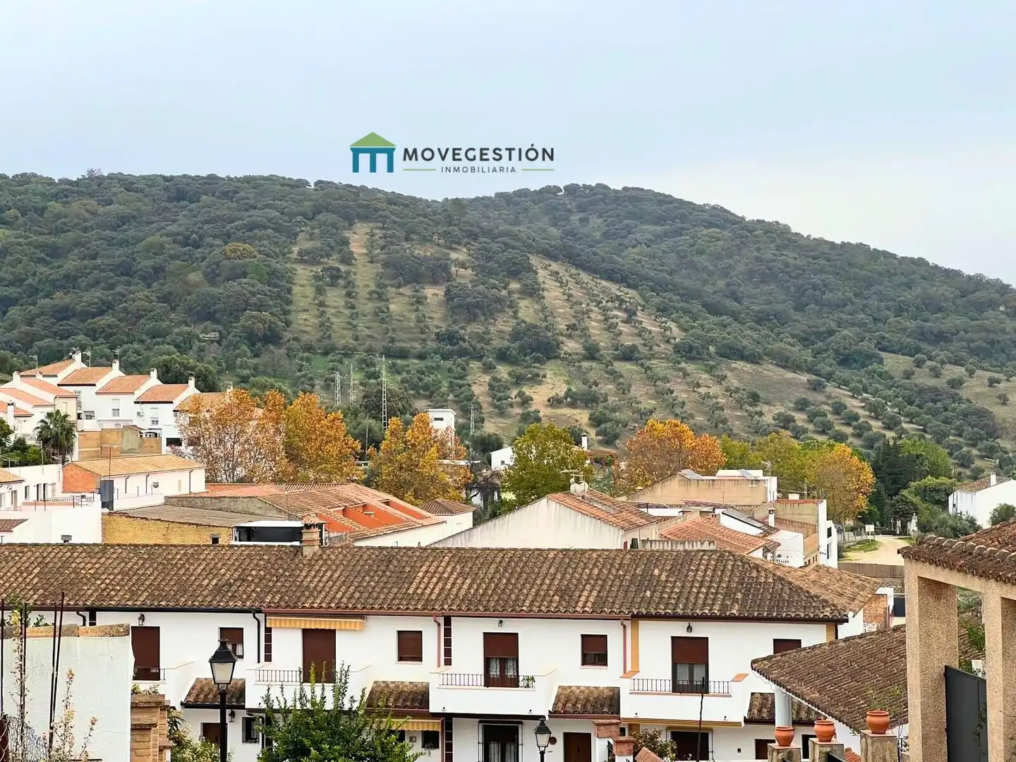 Terreny residencial en venda a Prado del Rey, imagen 3