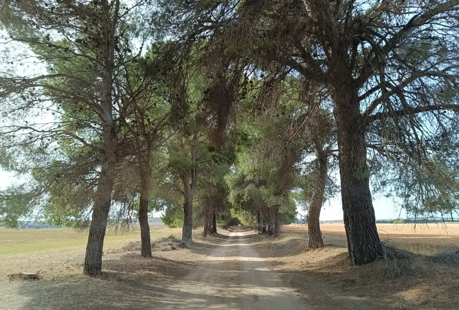 Terreno rustico in vendita a N/A, imagen 16