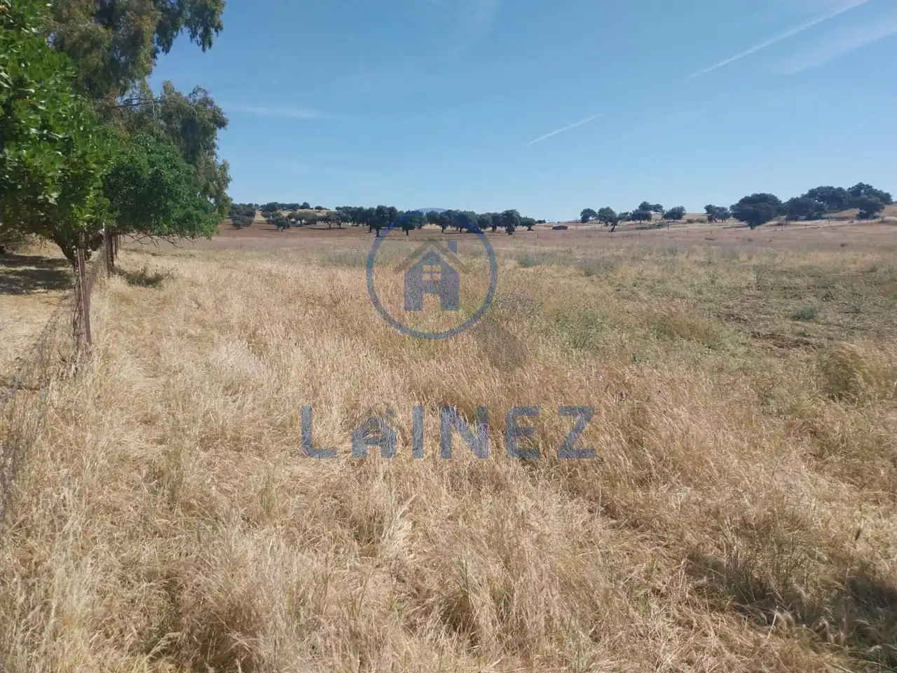 Rural land for sale in Fuente Obejuna, imagen 38