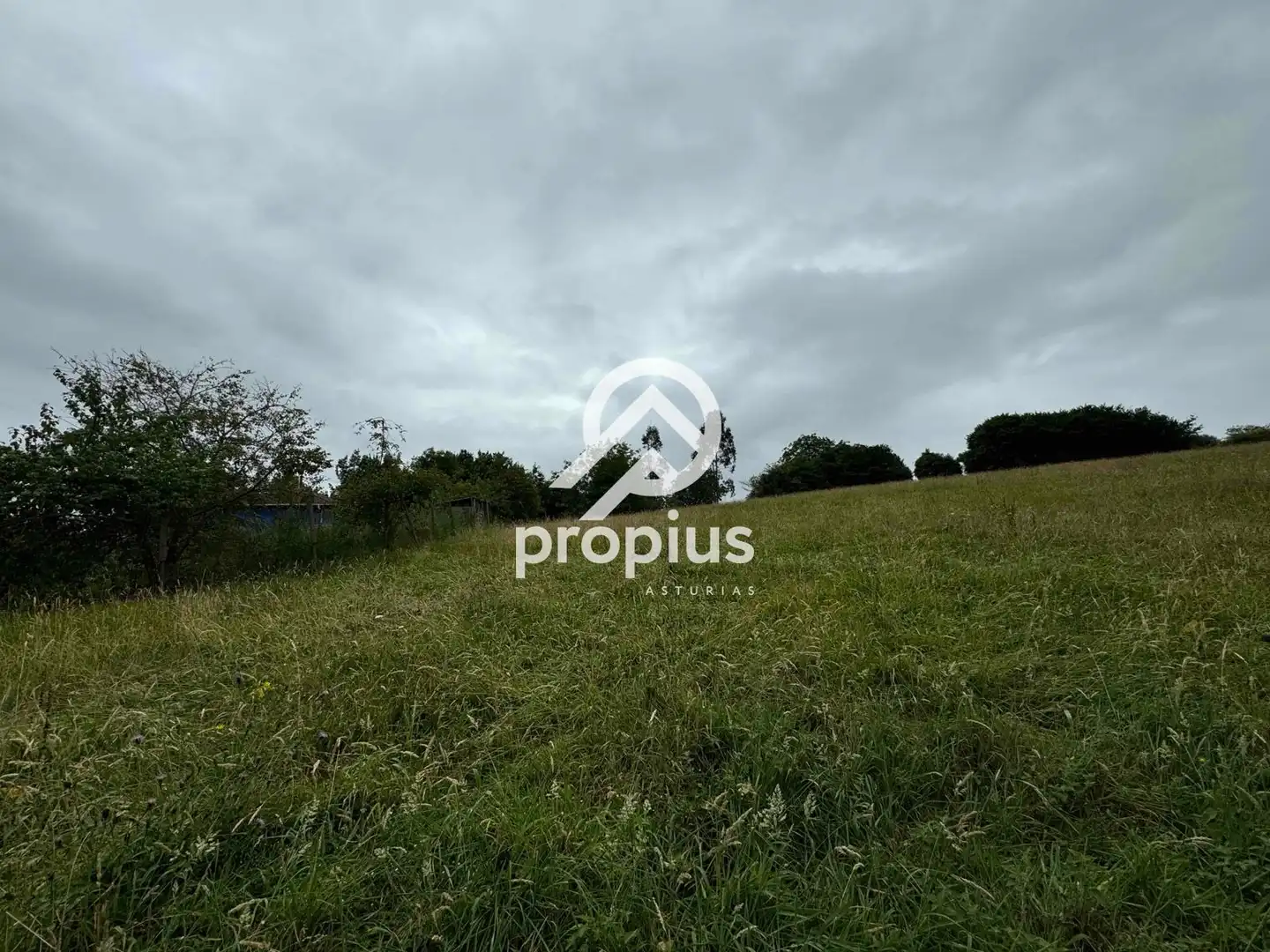 Rural land for sale in Arenas, imagen 29