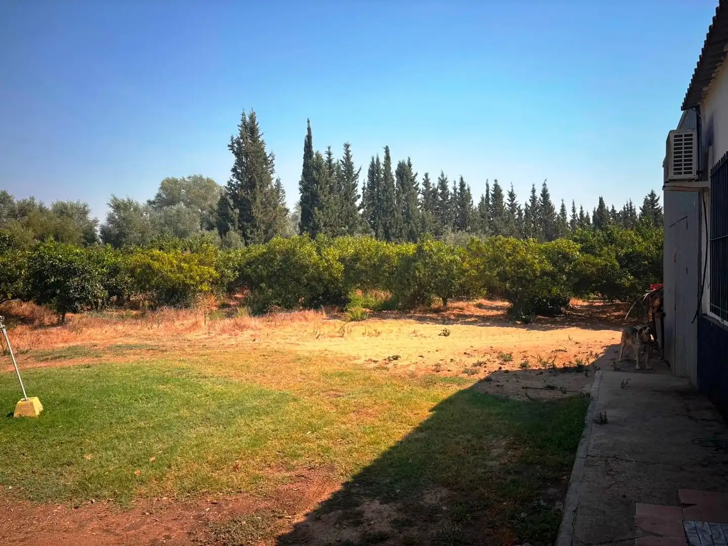 Finca rústica en venda en Huévar del Aljarafe amb Jardí privat, Traster i Piscina