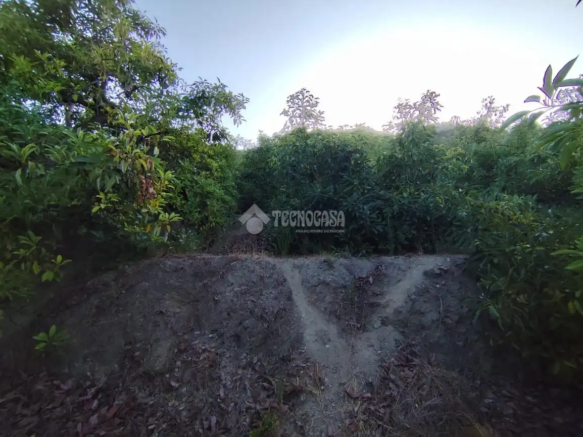 Terreno rustico in vendita a Los Guájares, imagen 20