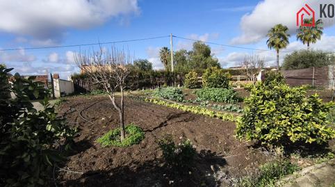 Foto 4 de Finca rústica en venta en Villamartín, Cádiz