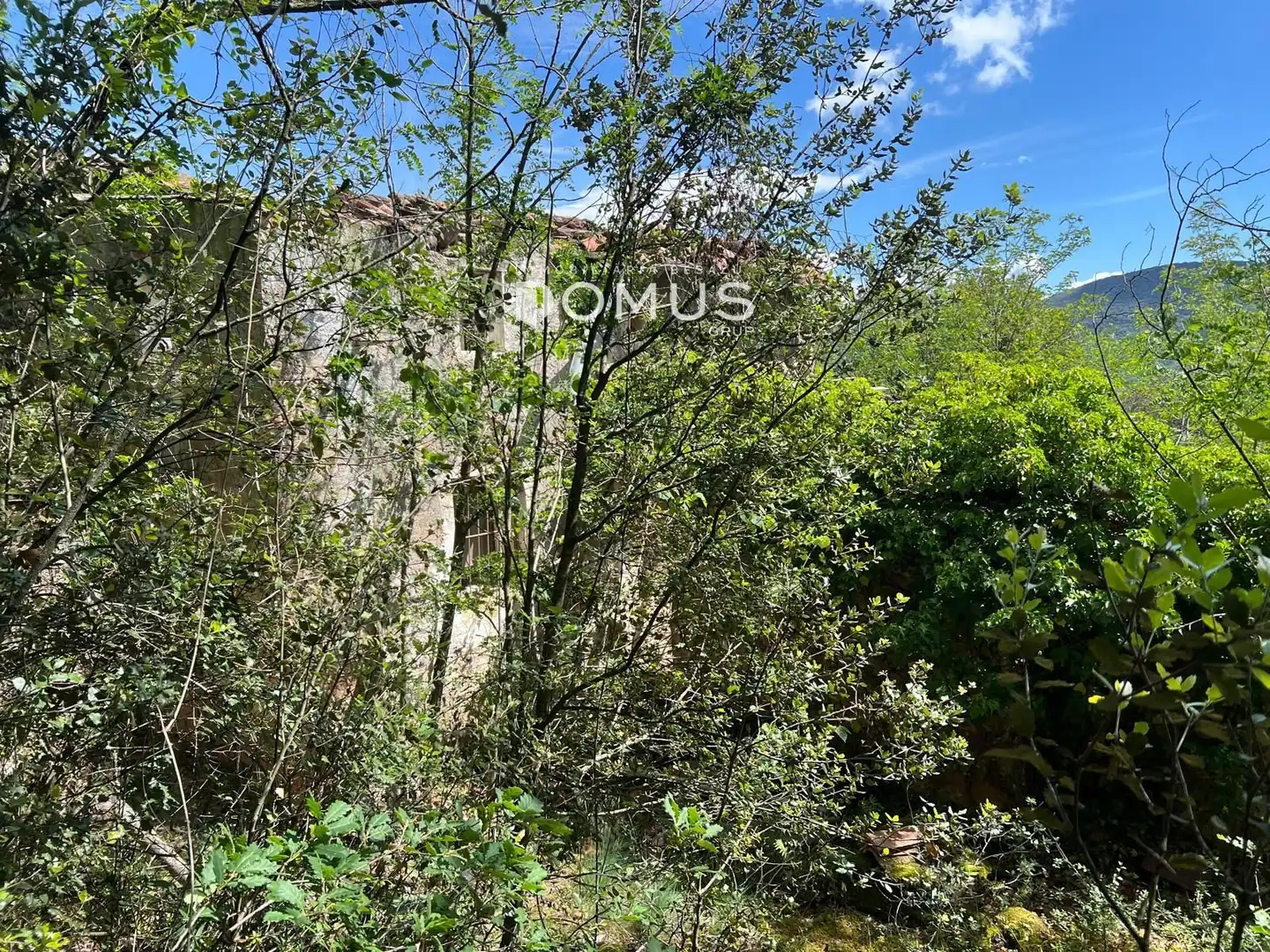 Finca rústica en venta en Sant Joan Les Fonts