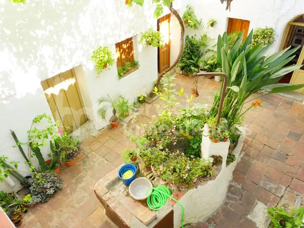 Jardín de Casa adosada en venta en Benamocarra con Jardín privado, Terraza y Amueblado
