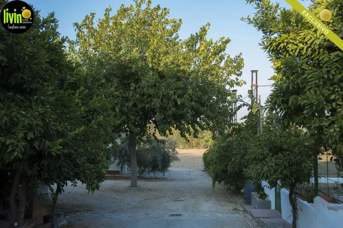 Jardí de Casa o xalet en venda en Puente Tablas - Puente Nuevo - Cerro Molina