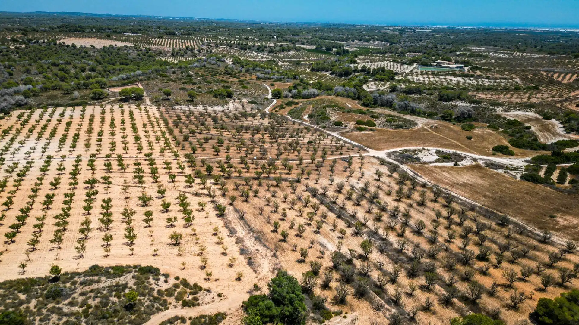 Terrenys i solars en venda a POLIGONO 16