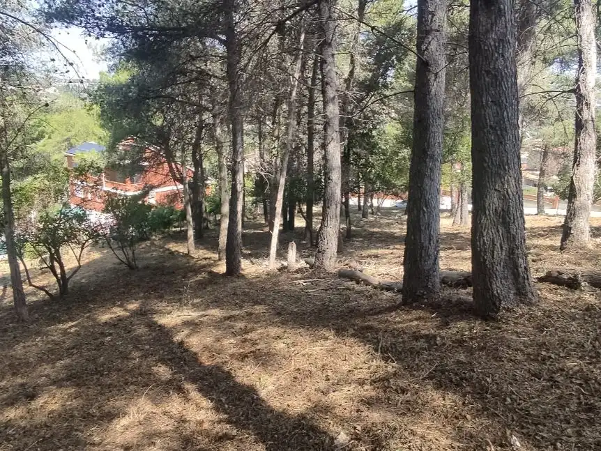Terreno residencial en venta en Sant Sever 45, imagen 4