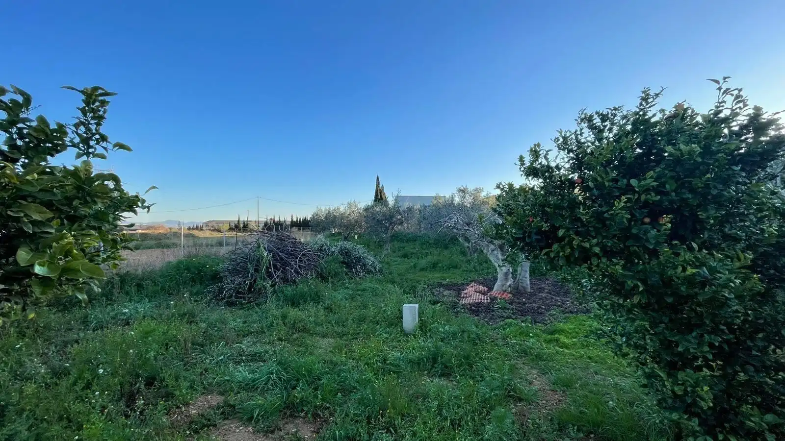 Casa rústica en venta en La Pinilla - Las Palas, imagen 30