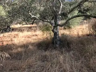 Terreni e lotti in vendita a Cortegana, imagen 21