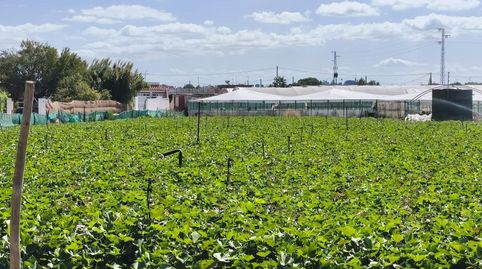 Foto 4 de Residencial en venta en Camino de la Jara, La Jara, Sanlúcar de Barrameda