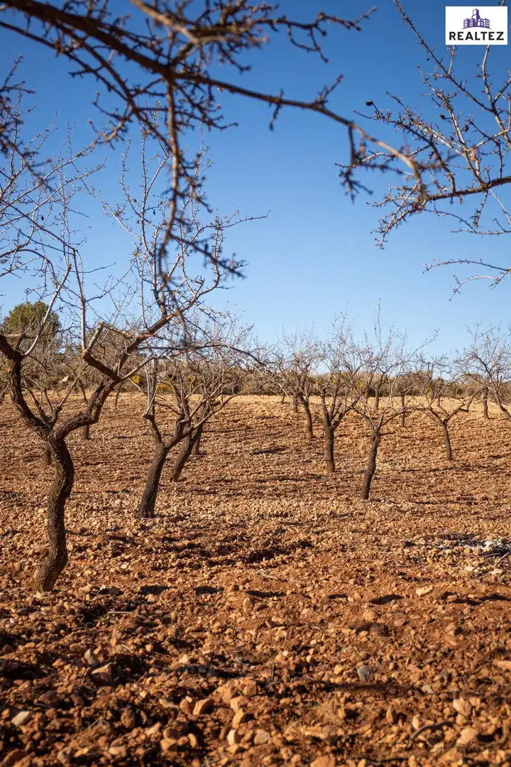Terrain rustique à vendre à Alcolea, imagen 10