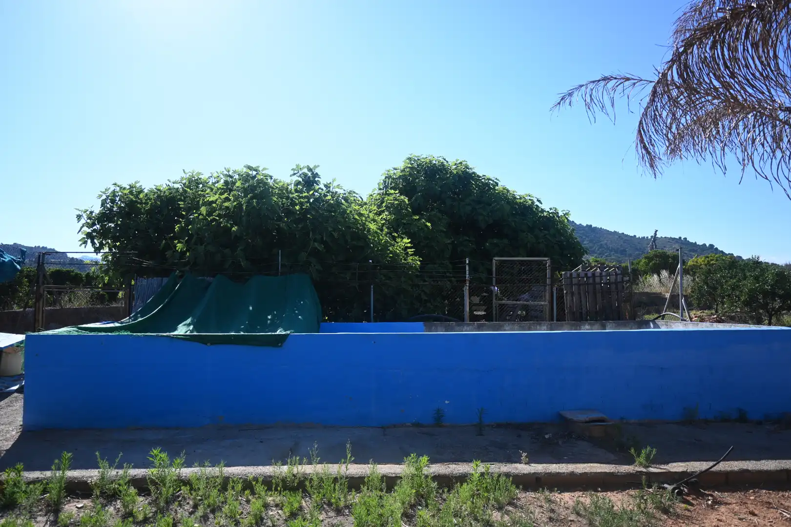 Piscina de Casa o xalet en venda en Betxí amb Jardí privat, Terrassa i Piscina