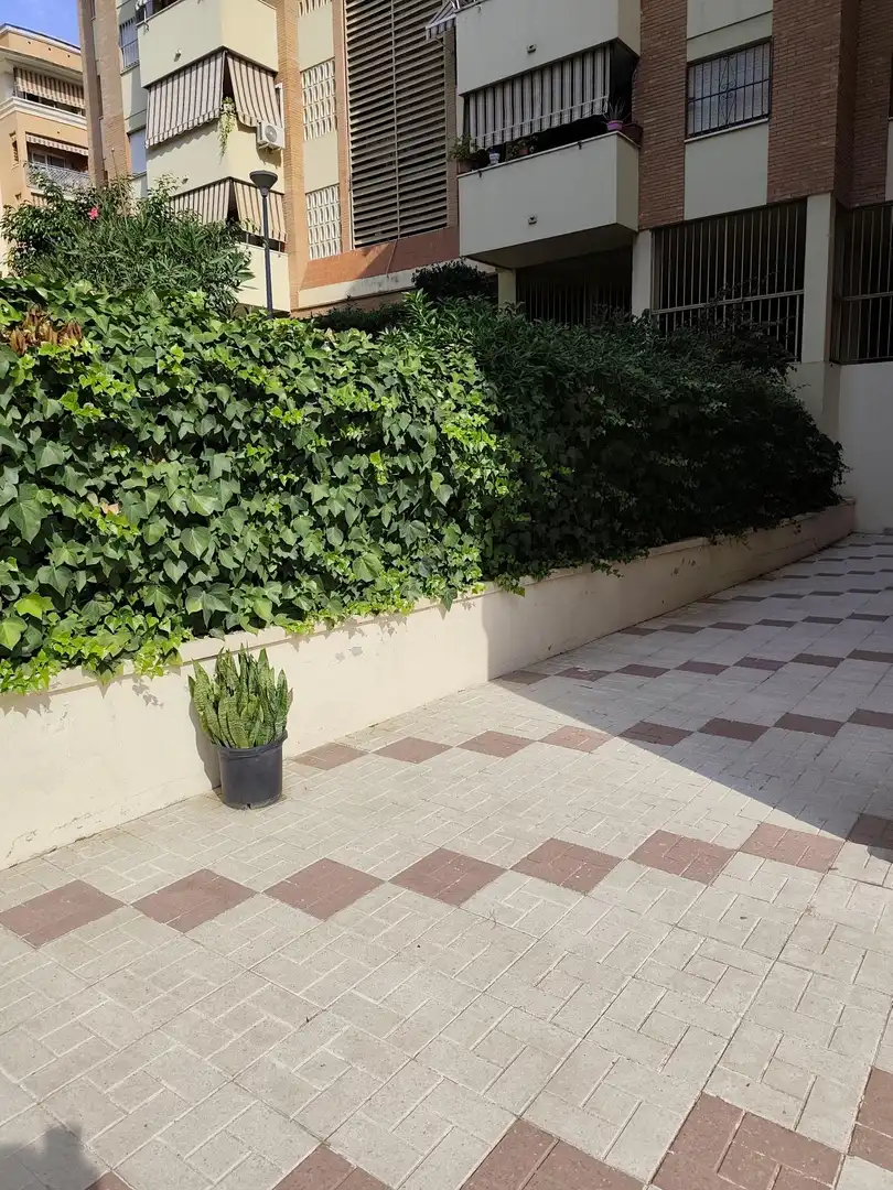 Terrassa de Apartament en venda en Ciudad Jardín