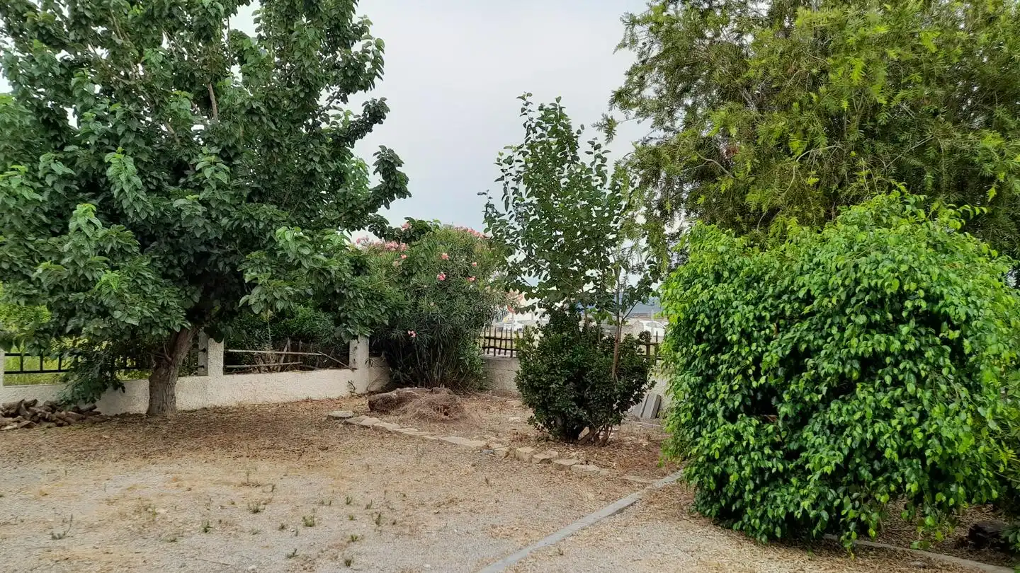 Haus oder Chalet zum Verkauf in Benejúzar mit Privatgarten, Terrasse und Schwimmbad