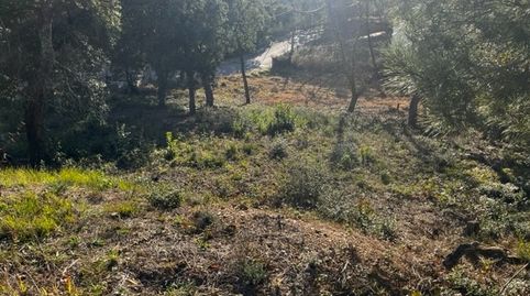 En venta parcela a dos calles en Urb. Mas Llunés., immagine 3