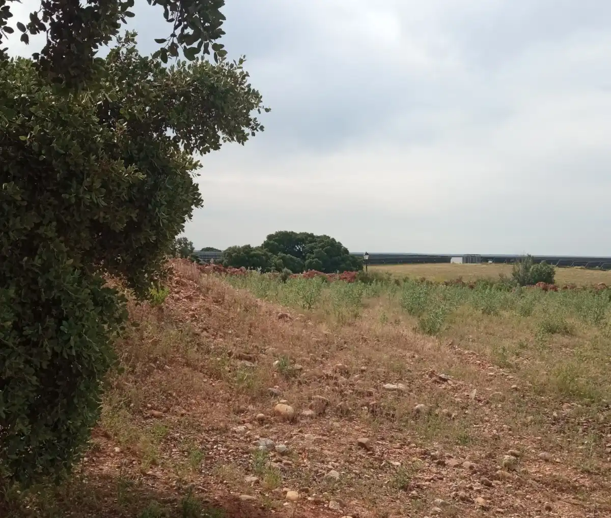 Terreny residencial en venda a NAVA BALBONO, imagen 5