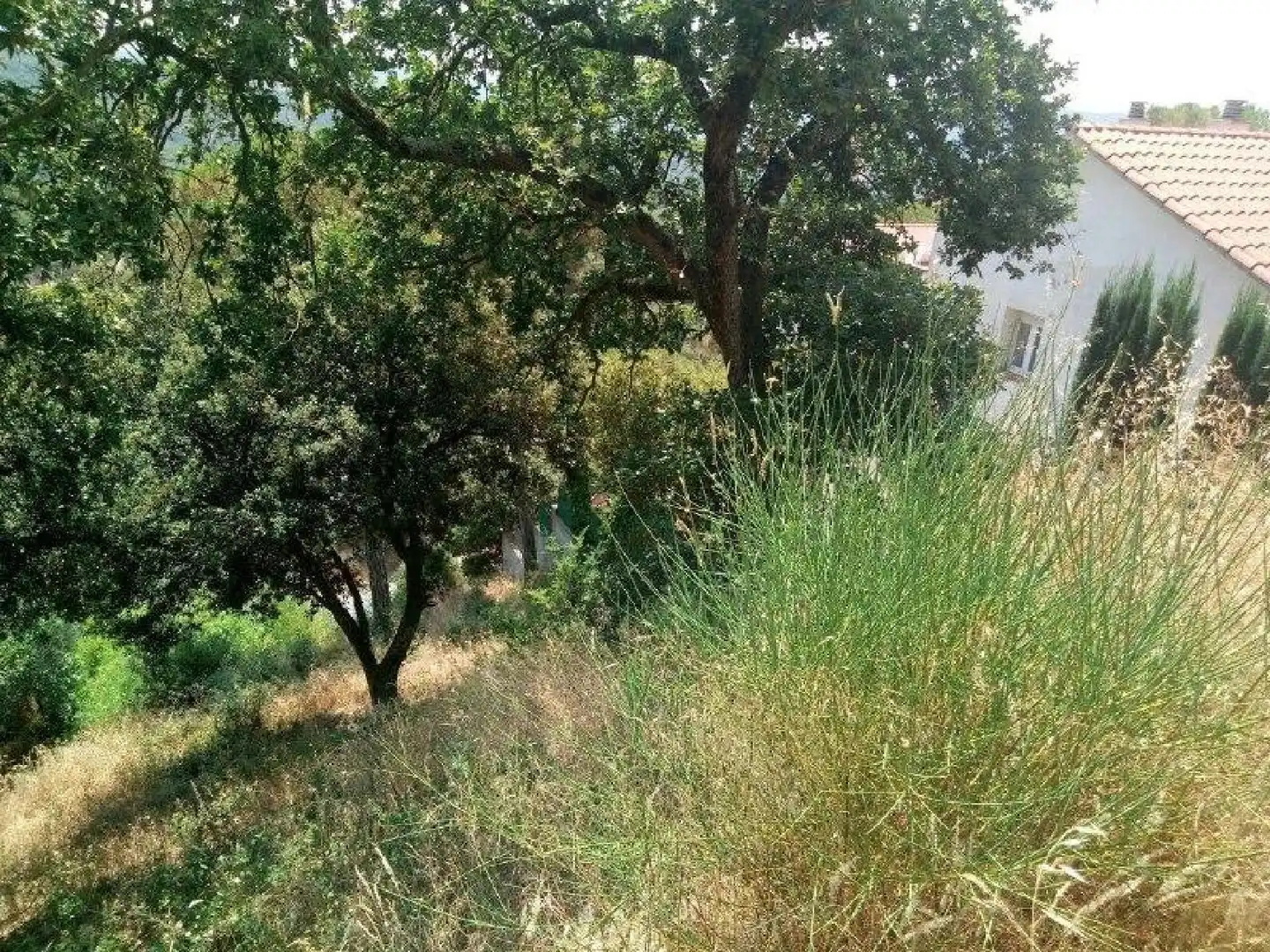 Terrenys i solars en venda a Can Massuet del Far, imagen 7