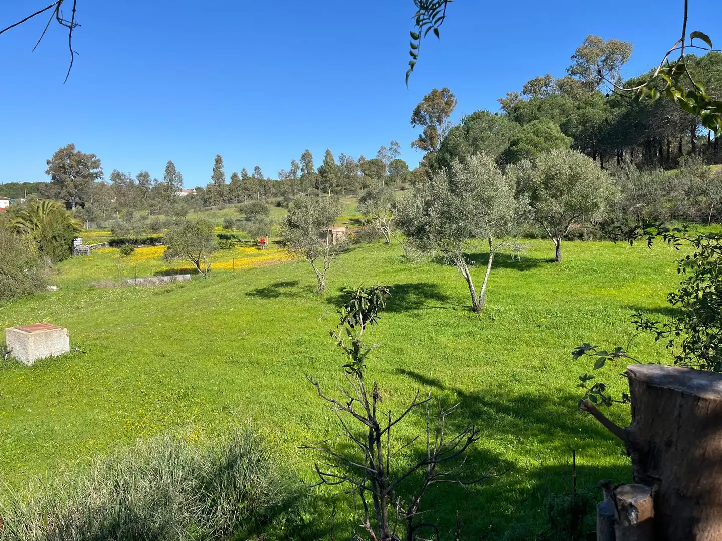 Chalet con jardín en venta en Diseminado Caballon 20, imagen 31