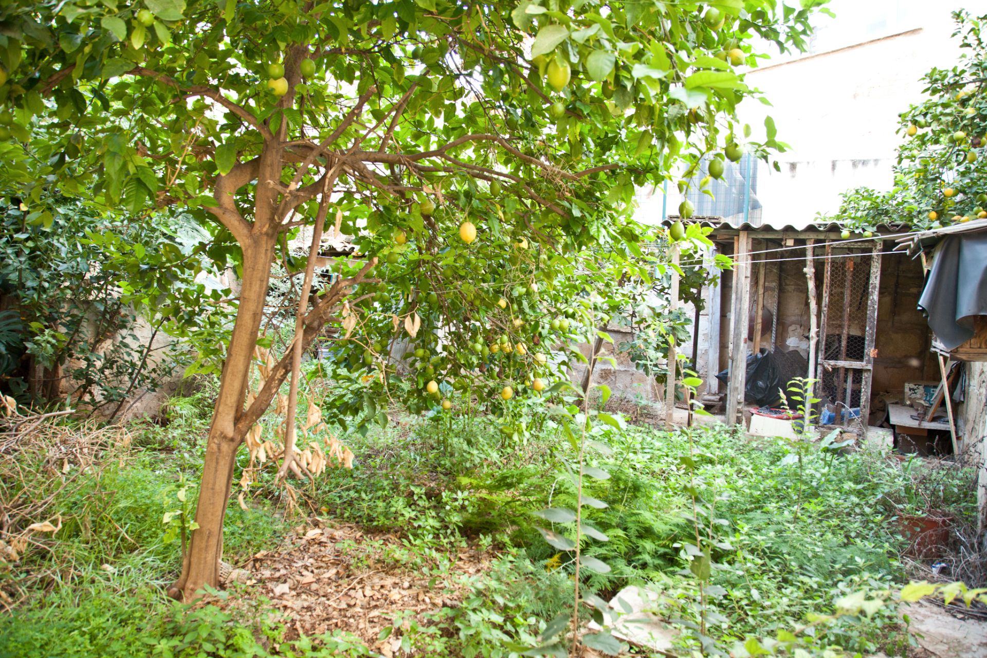 Garden of Flat for sale in  Palma de Mallorca  with Private garden, Terrace and Storage room