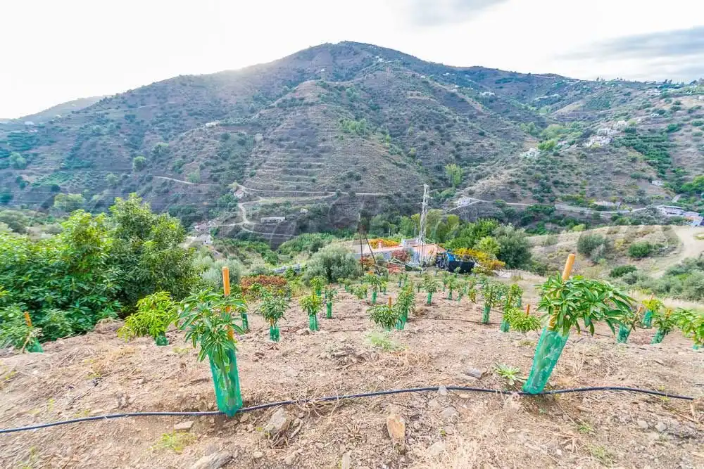 Rustikales Grundstück zum Verkauf in Torrox Pueblo, imagen 11