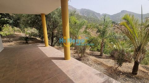 CASA DE CAMPO 3 DORMITORIOS CON PARCELA DE 3242 m2 Y VISTA DESPEJADA A LA MONTAÑA  CANILLAS DE ACEITUNO, imatge 4