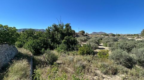 Foto 5 de Finca rústica en venta en Monóvar / Monòver, Alicante