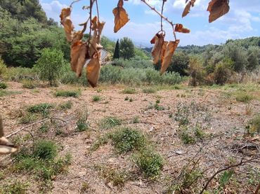 Wohnbaugrundstück zum Verkauf in Poble