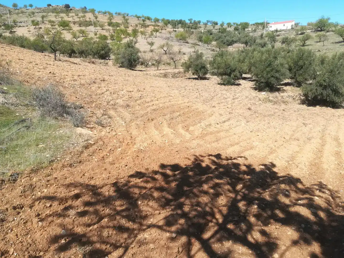 Terreno en venta en Tahal