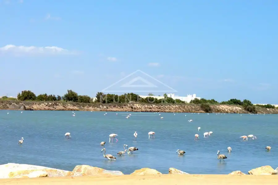 Piso en venta en San Pedro del Pinatar ciudad