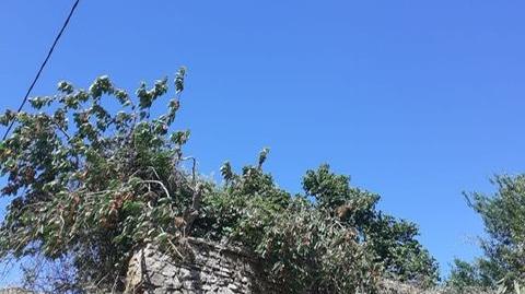 Foto 5 de Casa o chalet en venta en Merindad de Montija, Burgos